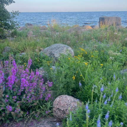 Itsensäjohtaminen on valmentajan tärkeä taito